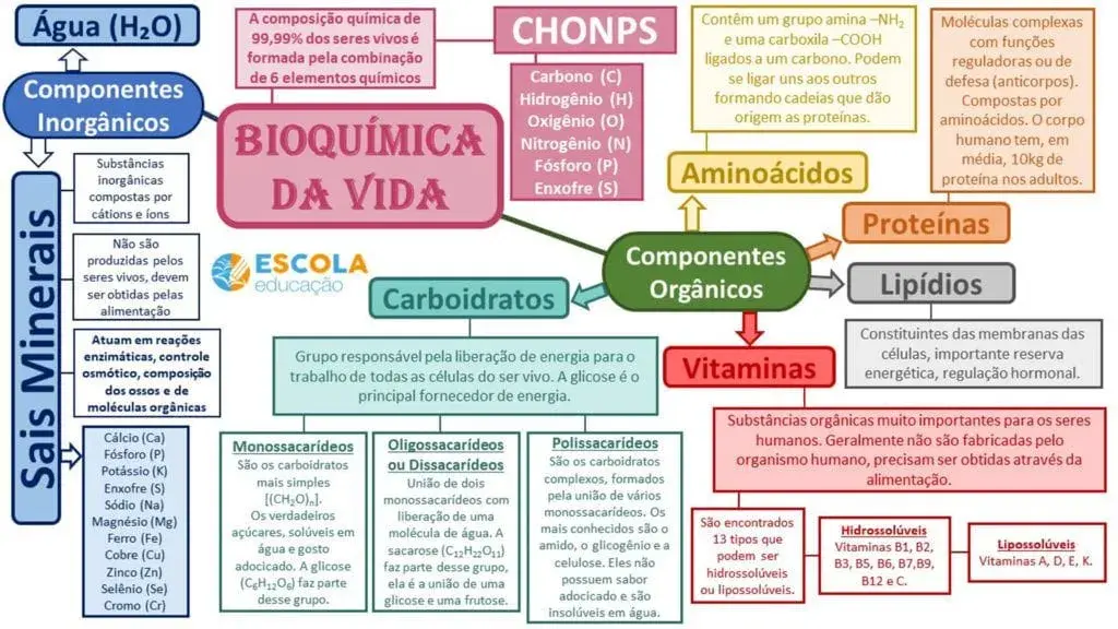 Mapa conceitual (3) (1) - Biologia Celular