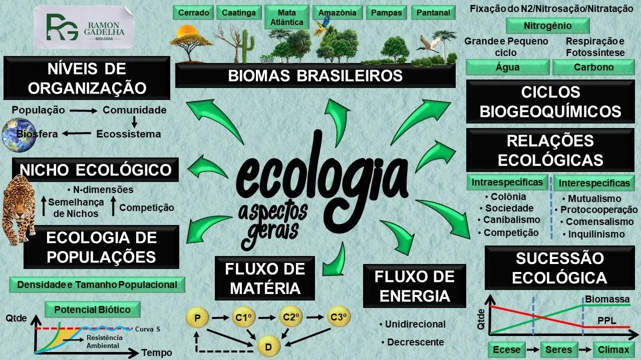 Ecologia - Mapas Mentais de Biologia Para o Enem e Vestibulares | Projeto  Elisa - Mind Maps